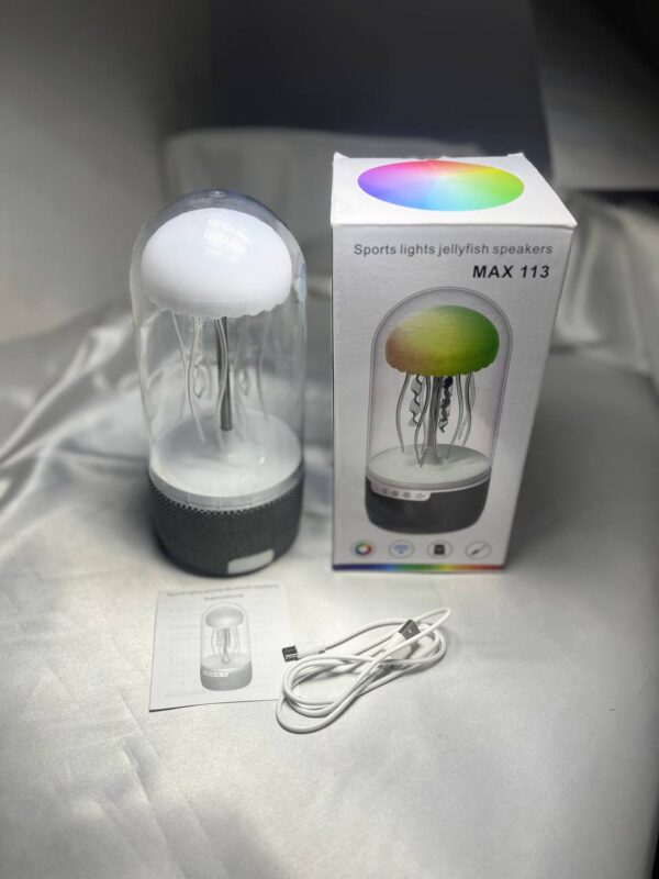 اسپیکر max113