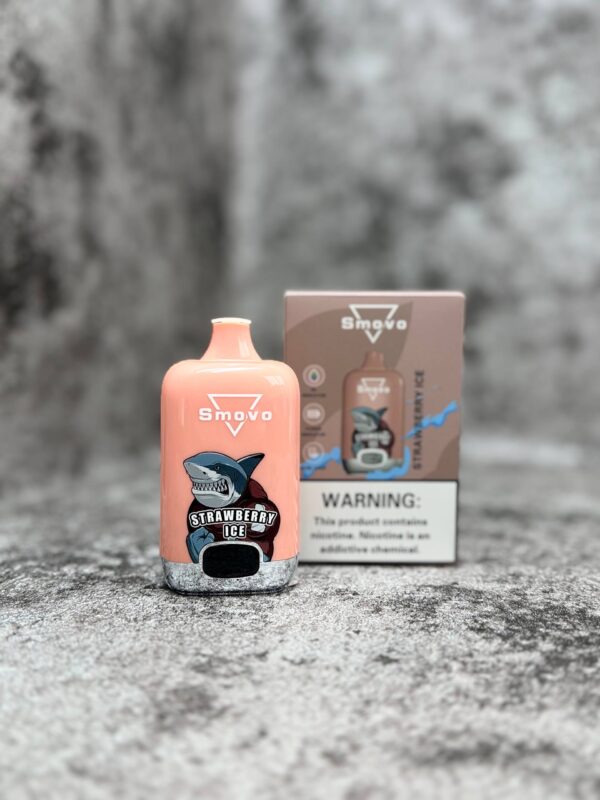 ویپ و پاد smovo سیزده هزار